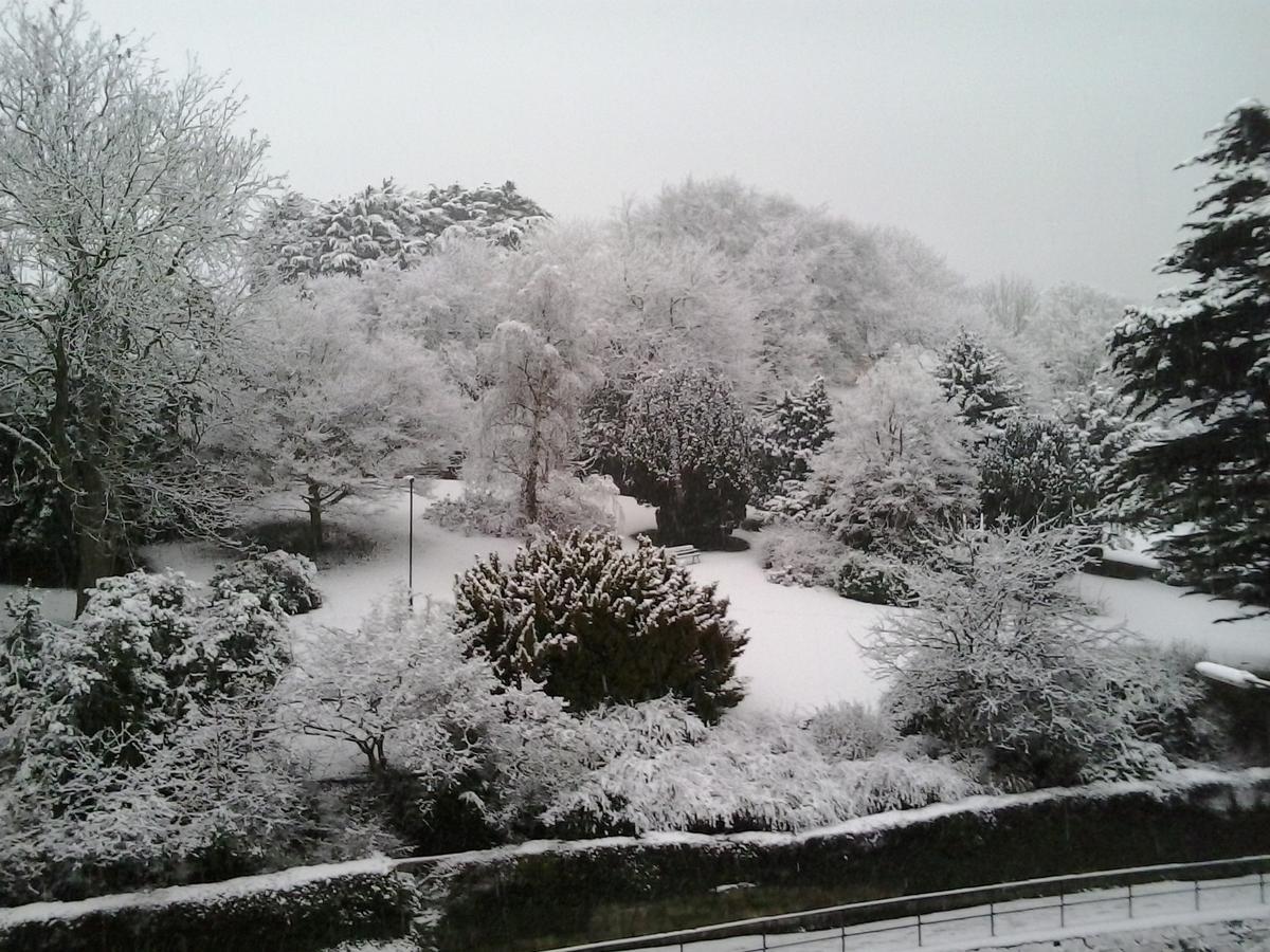 Rylstone Mere